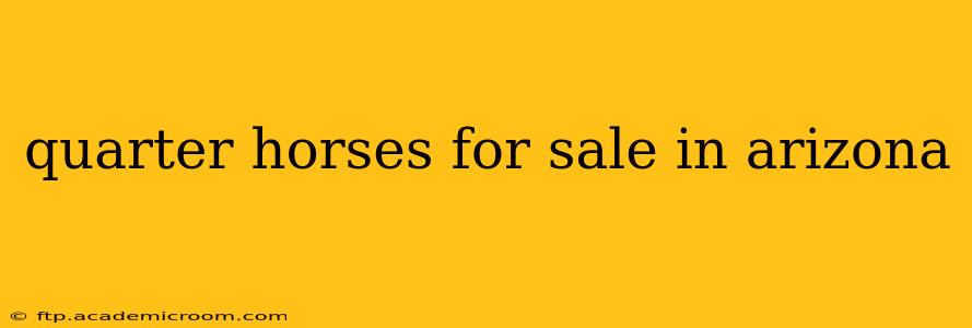quarter horses for sale in arizona