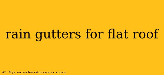 rain gutters for flat roof