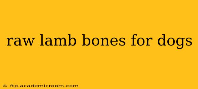 raw lamb bones for dogs