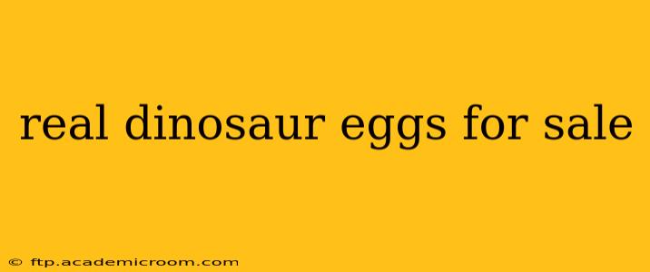 real dinosaur eggs for sale