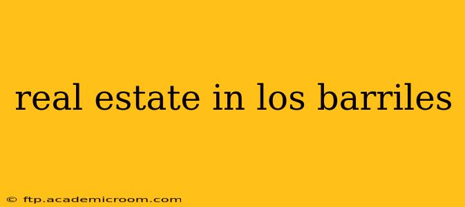 real estate in los barriles