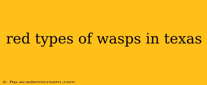red types of wasps in texas