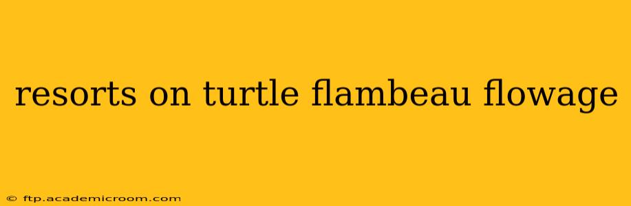 resorts on turtle flambeau flowage