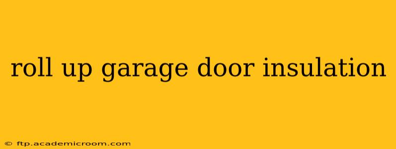 roll up garage door insulation