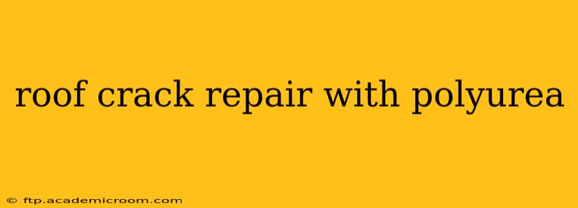 roof crack repair with polyurea