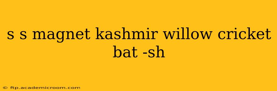 s s magnet kashmir willow cricket bat -sh
