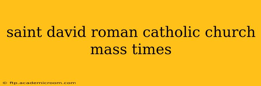 saint david roman catholic church mass times