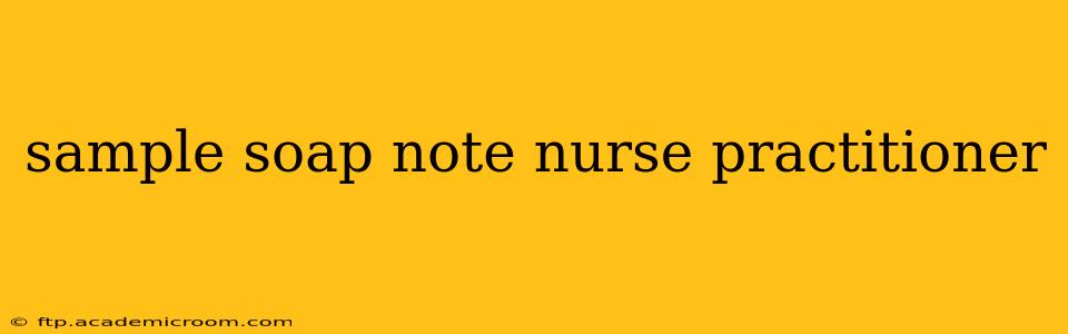 sample soap note nurse practitioner