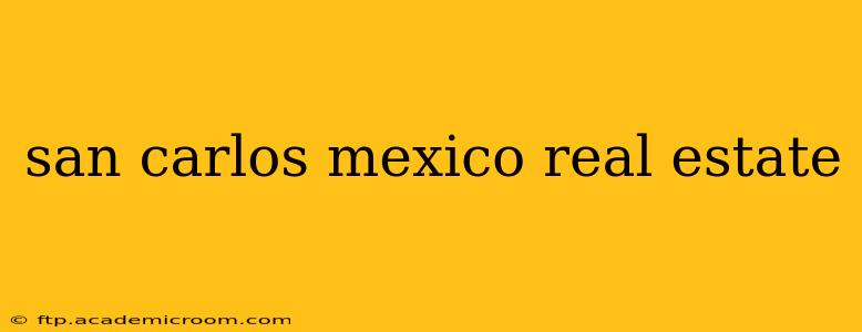 san carlos mexico real estate