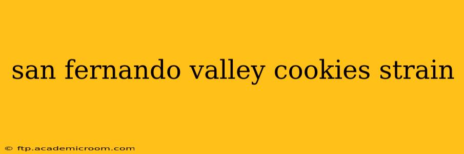 san fernando valley cookies strain