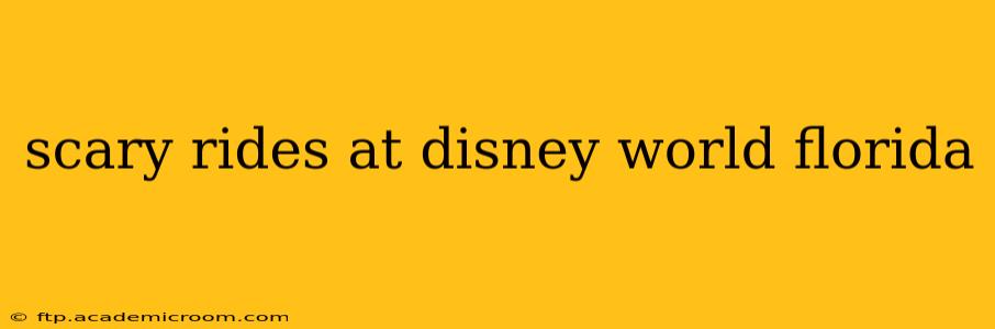 scary rides at disney world florida