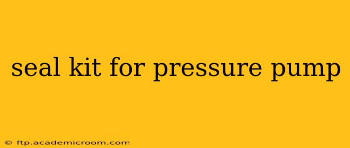 seal kit for pressure pump