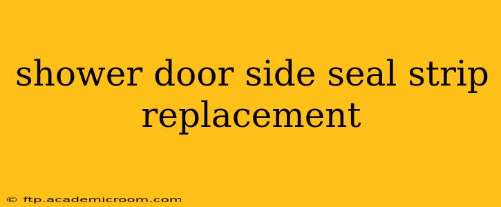 shower door side seal strip replacement