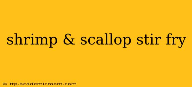 shrimp & scallop stir fry