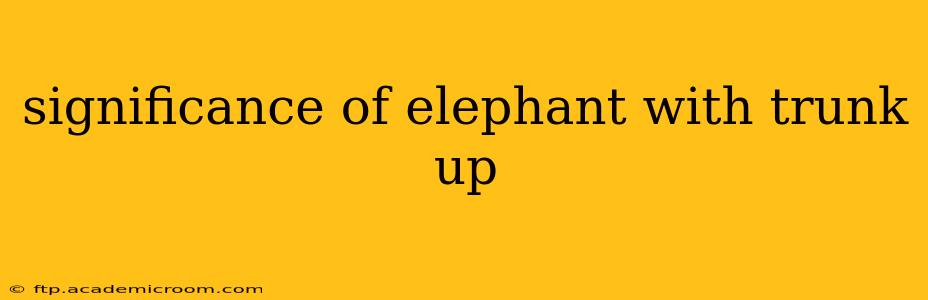 significance of elephant with trunk up