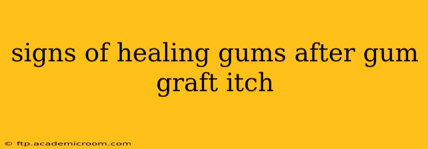 signs of healing gums after gum graft itch