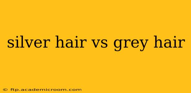 silver hair vs grey hair