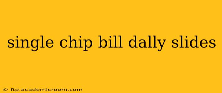 single chip bill dally slides