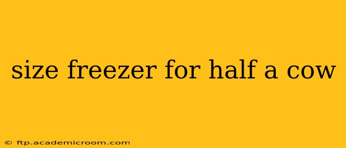 size freezer for half a cow