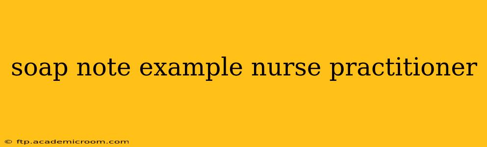 soap note example nurse practitioner