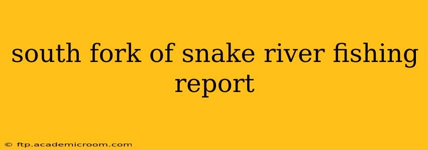 south fork of snake river fishing report