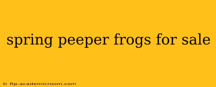 spring peeper frogs for sale