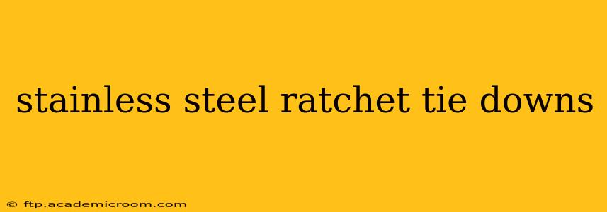 stainless steel ratchet tie downs