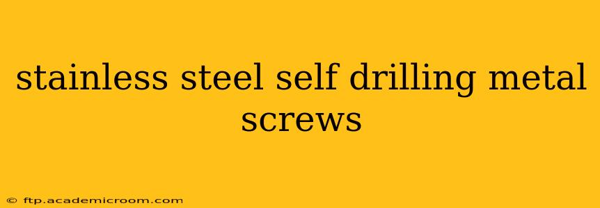 stainless steel self drilling metal screws