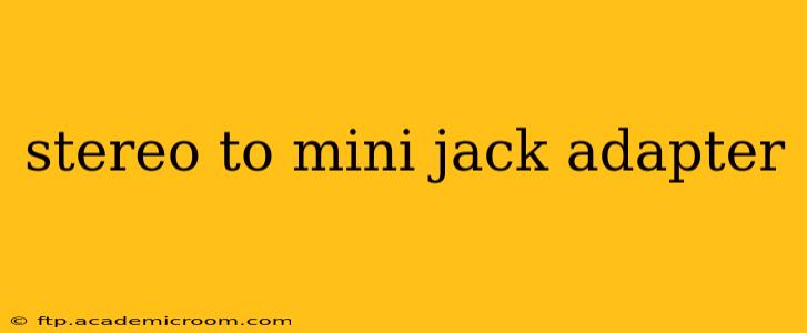 stereo to mini jack adapter