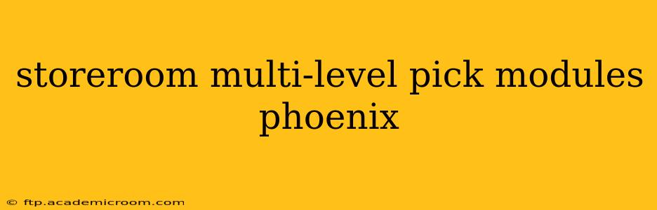 storeroom multi-level pick modules phoenix