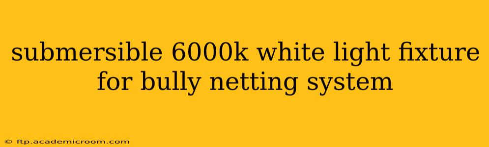 submersible 6000k white light fixture for bully netting system