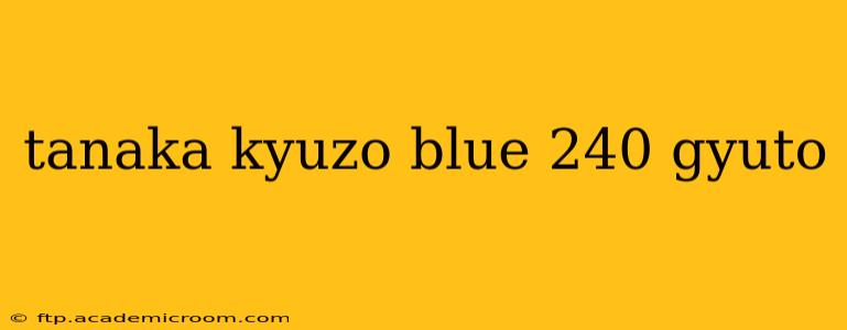 tanaka kyuzo blue 240 gyuto