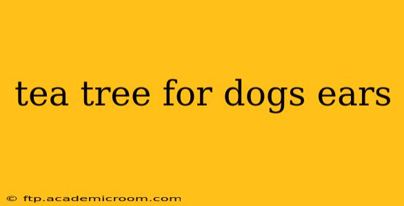 tea tree for dogs ears
