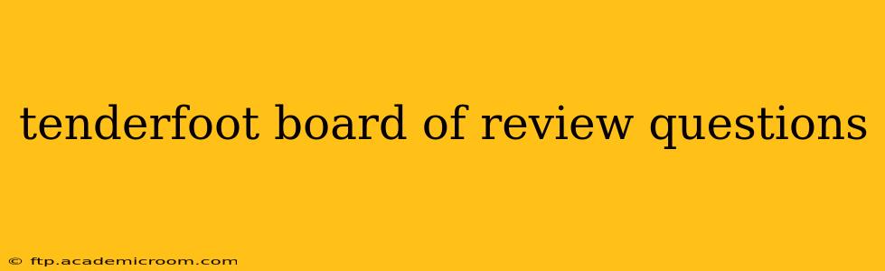 tenderfoot board of review questions
