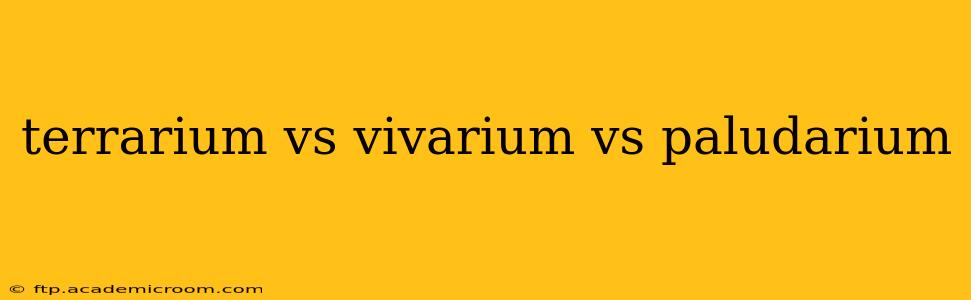 terrarium vs vivarium vs paludarium