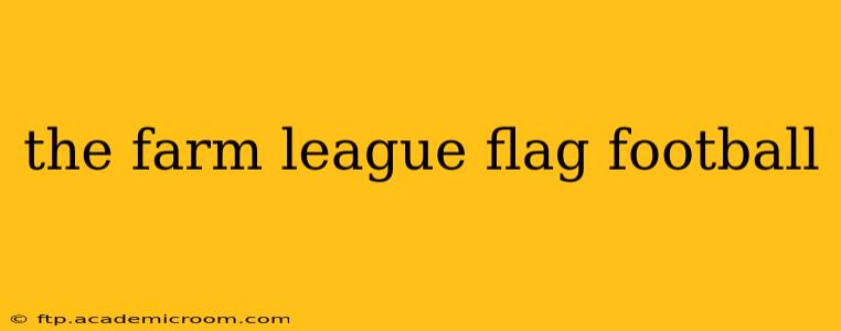 the farm league flag football