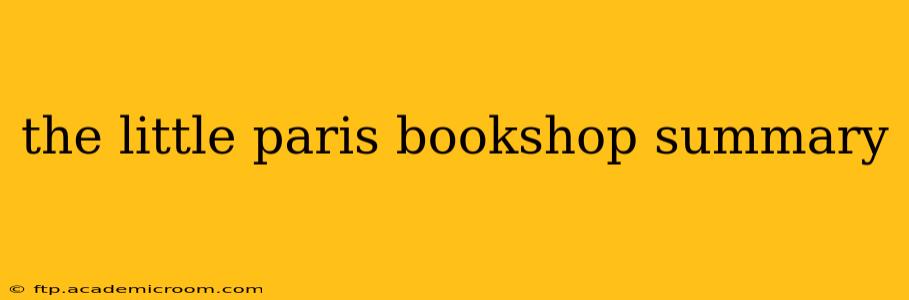 the little paris bookshop summary