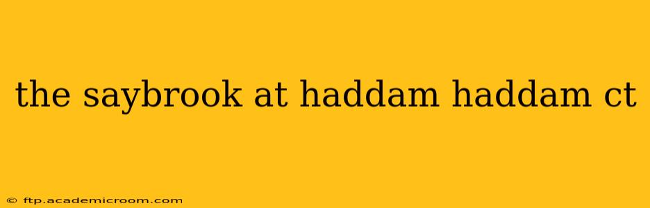 the saybrook at haddam haddam ct