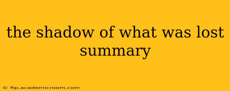 the shadow of what was lost summary