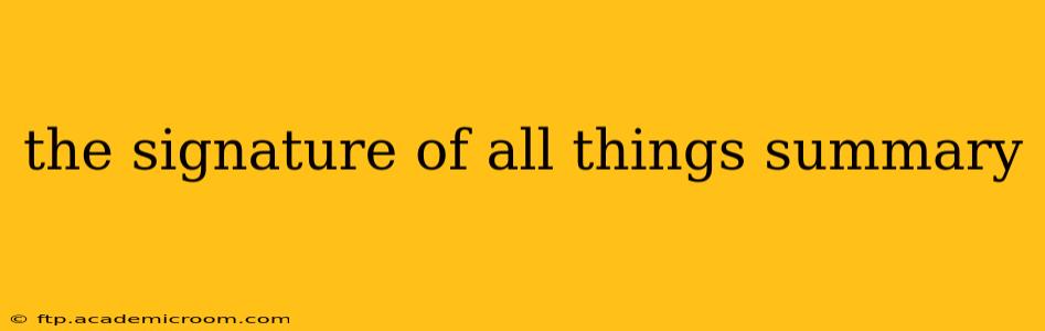 the signature of all things summary
