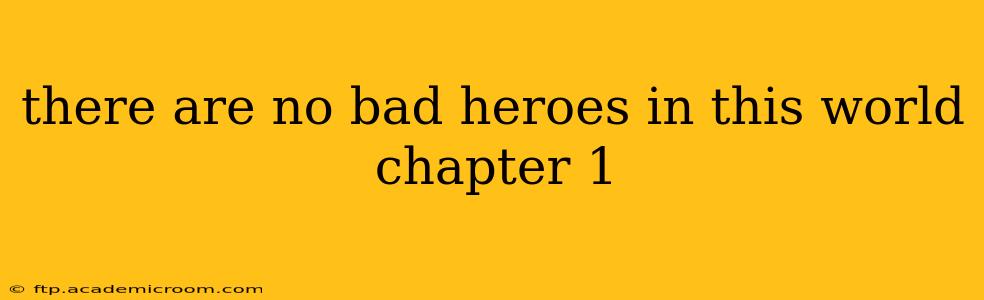 there are no bad heroes in this world chapter 1