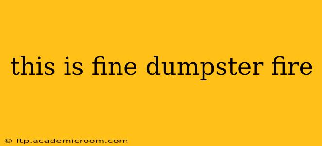 this is fine dumpster fire