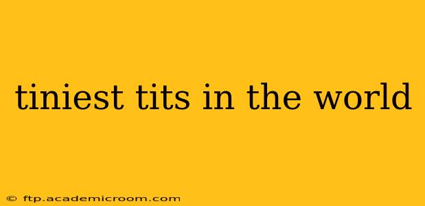 tiniest tits in the world