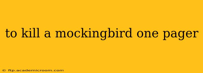 to kill a mockingbird one pager