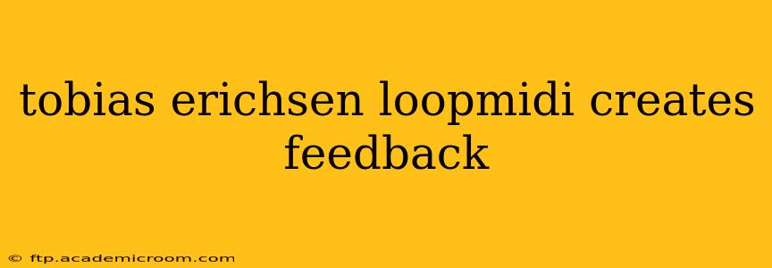 tobias erichsen loopmidi creates feedback