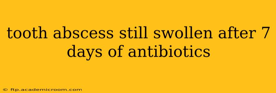 tooth abscess still swollen after 7 days of antibiotics