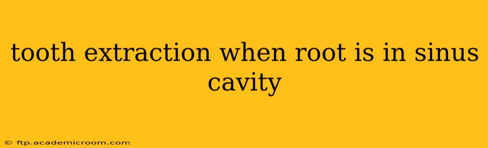 tooth extraction when root is in sinus cavity