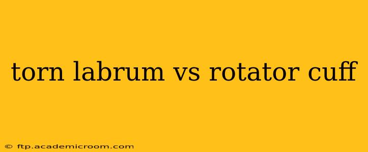 torn labrum vs rotator cuff
