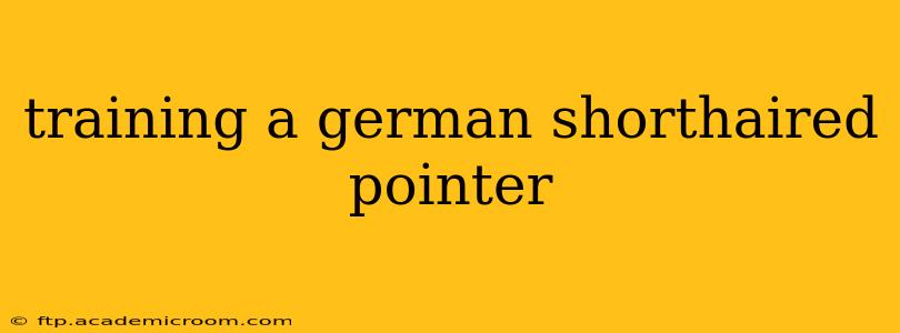 training a german shorthaired pointer