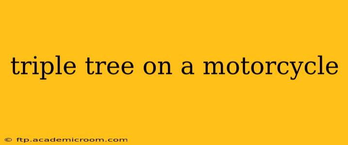 triple tree on a motorcycle